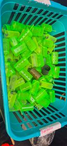 120 maggot feeders