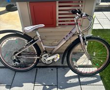 Raleigh Girls Bike
