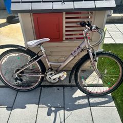 Raleigh Girls Bike
