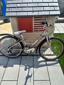 Girls Raleigh Bike
