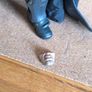 Batman Arkham City - Hot Toys Image 5