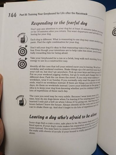 Retired Racing Greyhounds for Dummies
