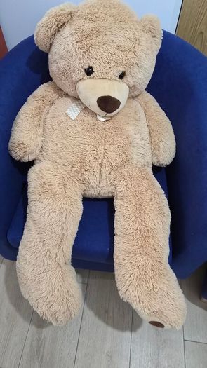 Big Brown Teddy Bear