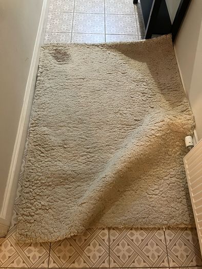 Rug (120cm x 170cm)