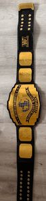 WWE intercontinental championship 90s
