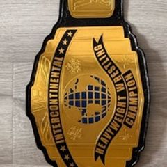 WWE intercontinental championship 90s