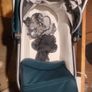 Uppababy Cruz and car seat entire set Image 10