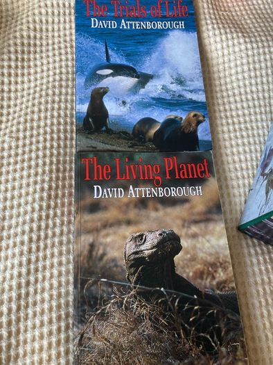 The Life Trilogy  / David Attenborough