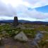 Wicklow2020