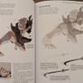 Art book Dynamic Manga drawing Image 3