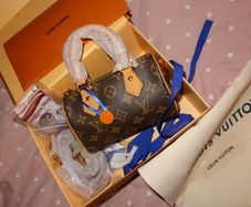 Louis Vuitton Speedy Bag