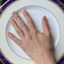 Royal Grafton Viceroy fine bone china dinner set Image 5