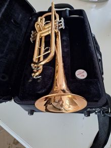 Yamaha YRT4335G Intermediate Trumpet Gld Brass Bel