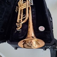 Yamaha YRT4335G Intermediate Trumpet Gld Brass Bel