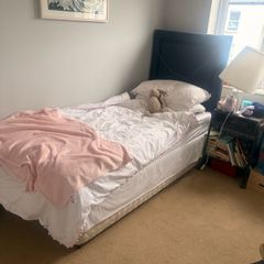 Free beds