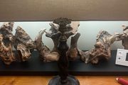 Antique Oak Barley Twist Candle Stick