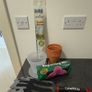 5 plants and garden stuff Image 8