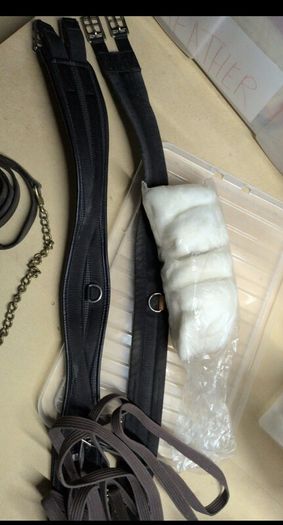 equestrian girths