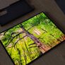 Samsung Galaxy Z TriFold Image 9