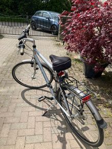 Raleigh Pioneer 1