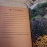 Gardener's Year Image 4