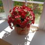 Beautiful Artifical Flower Display Image 2