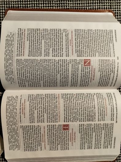 Holy Bible Sovereign Collection 9.5point Personal Size leather soft On3n3ss