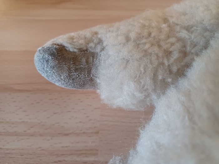 Vintage teddybear