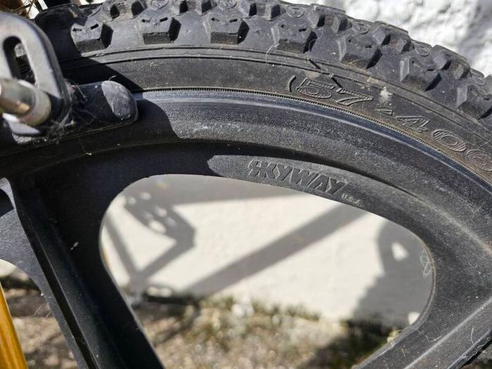 raleigh BMX