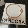 Pandora Image 2