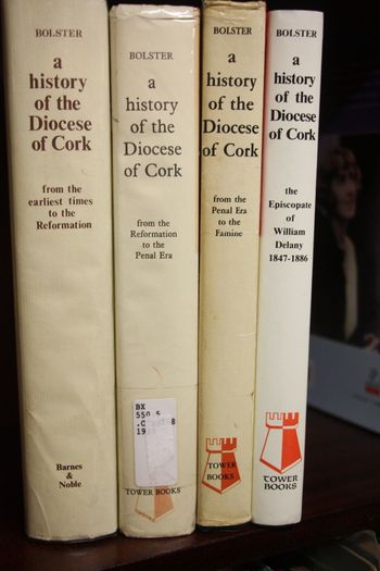 A History of the Diocese of Cork