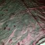 Accessorize burgandy wrap/shawl Image 5