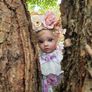 Reborns By Laura.  I Have Elf Fairy's In My Garden!!  Fairy  Elf's  Available For Adoption .  Reborn Doll.  Welcome To View Image 7