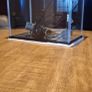 Fish Tank for sale until midnight tonight 29th April Image 4