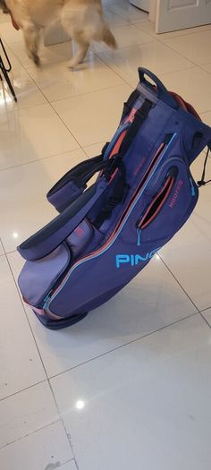 Ping Hoofer