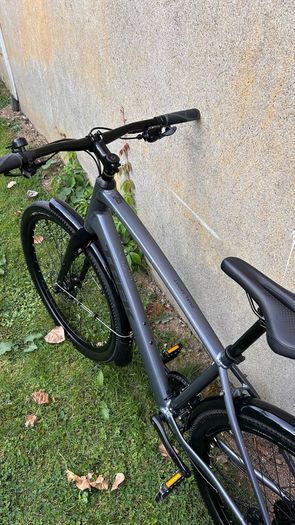 Trek Dual Sport