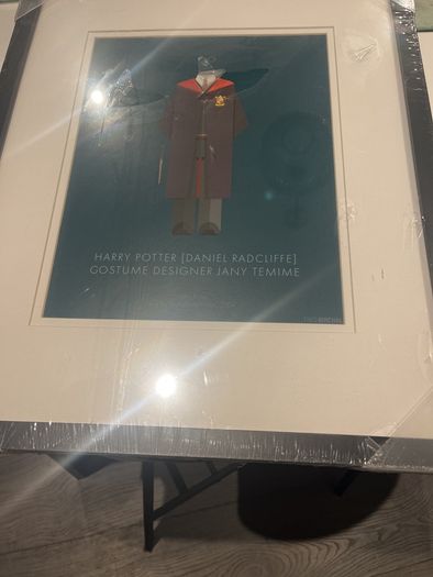 Harry Potter Framed Print