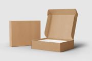 Plain Mailer Box