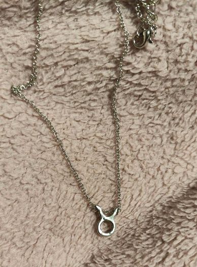 Taurus Zodiac Necklace Celestial & Personal Charm