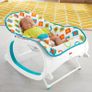 Fisher-Price Infant-to-Toddler Rocker Image 2