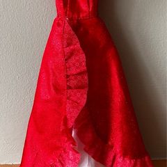 Princess Elena of Avalor Dolls Outfit