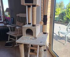 large cat tower