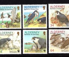 2000 Alderney Endangered Species: Peregrine Falcon Commemorative Stamps Mint Never Hinged (MNH)