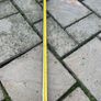 Pole saw Image 5