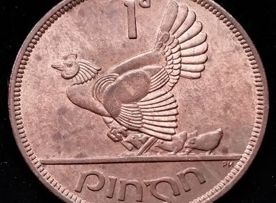 Ireland - 1965 - Penny - KM.11 - UNC - [658]