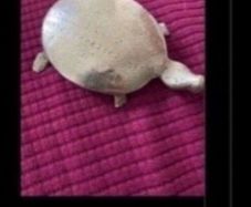 Brass Turtle