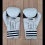 Adidas Kickboxing Gear Image 2