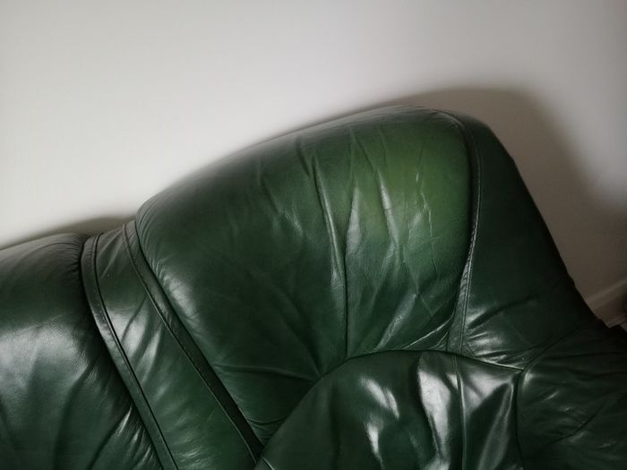 Calfskin Patent leather couches in deep green