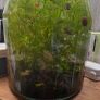 fluval flex Image 10