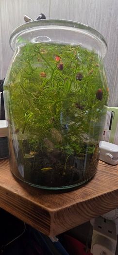 fluval flex